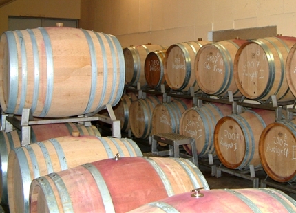 Nawilżanie powietrza a wino